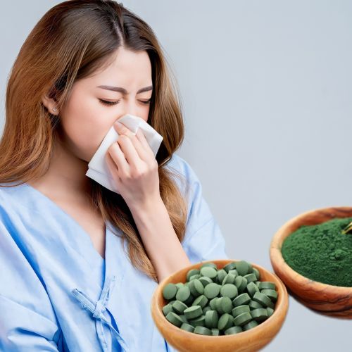 Tăng cường miễn dịch nhờ Tảo xoắn Spirulina